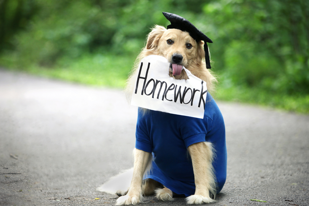 dog holding homework sign. motivational photo for a Productive Study Space