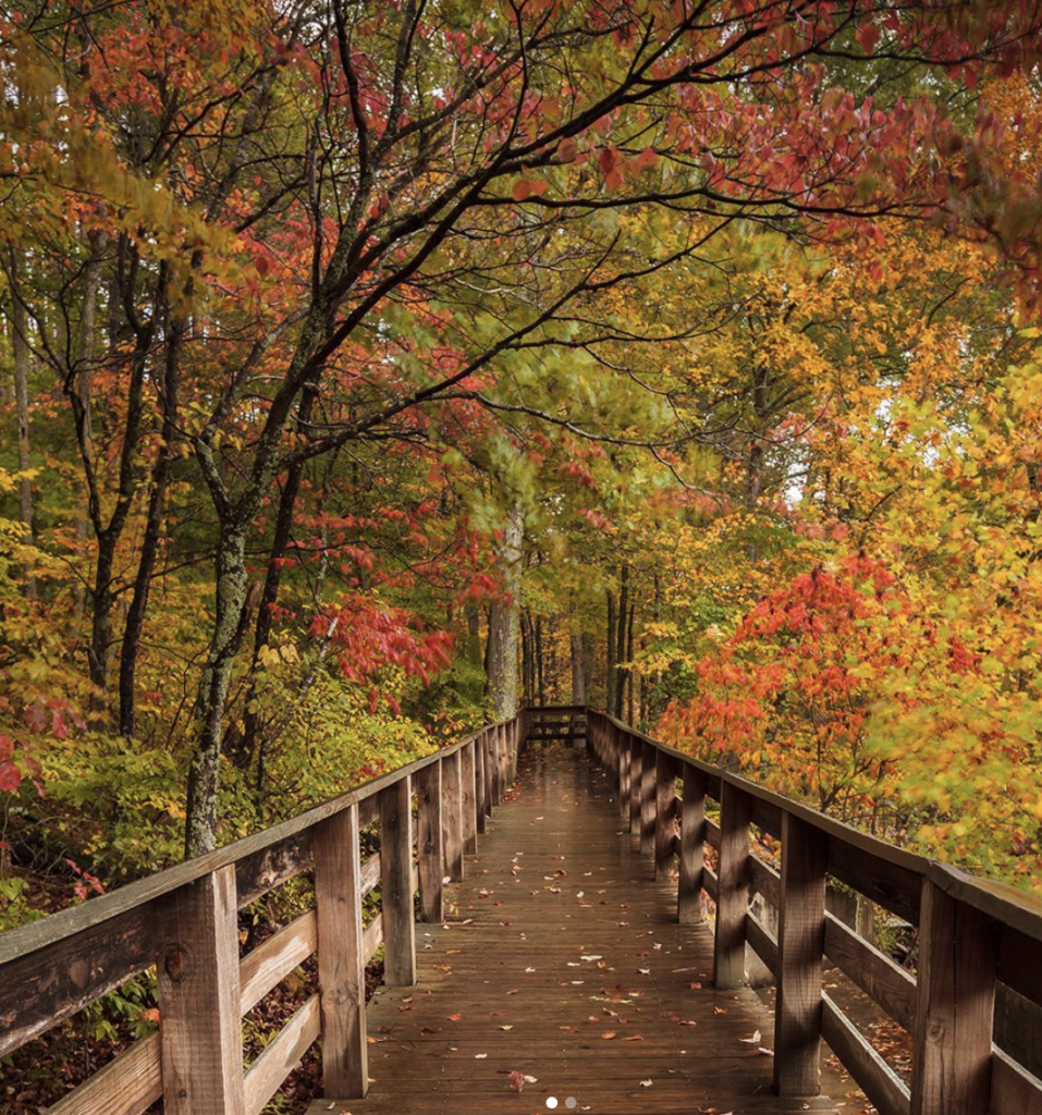 Fall Foliage Getaways: Best Spots in Ohio, Kentucky & Indiana