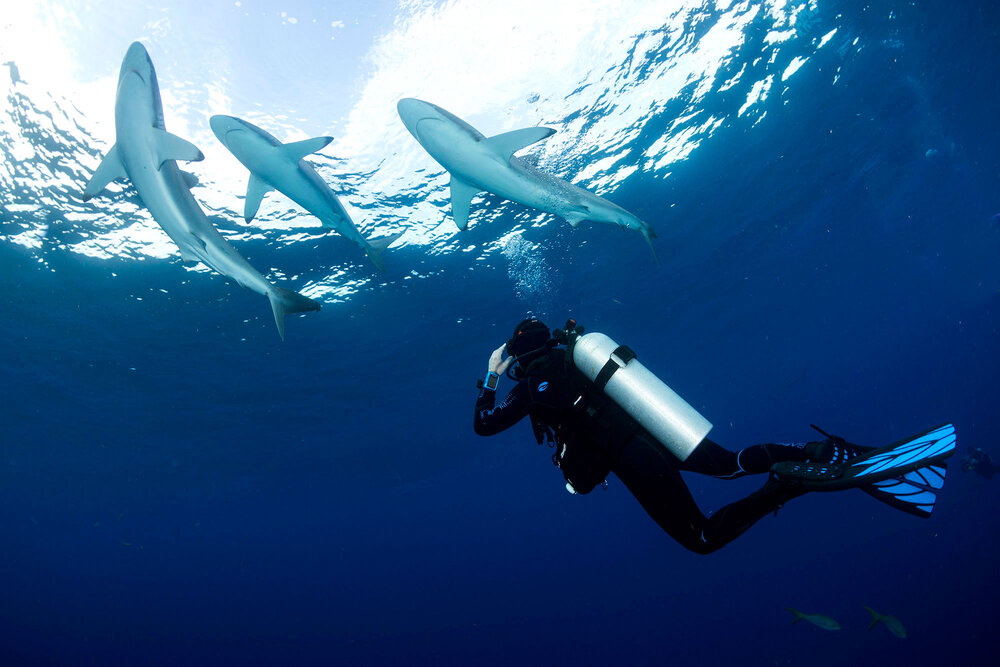 Central Coast Scuba Center