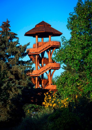 Cox Arboretum MetroPark