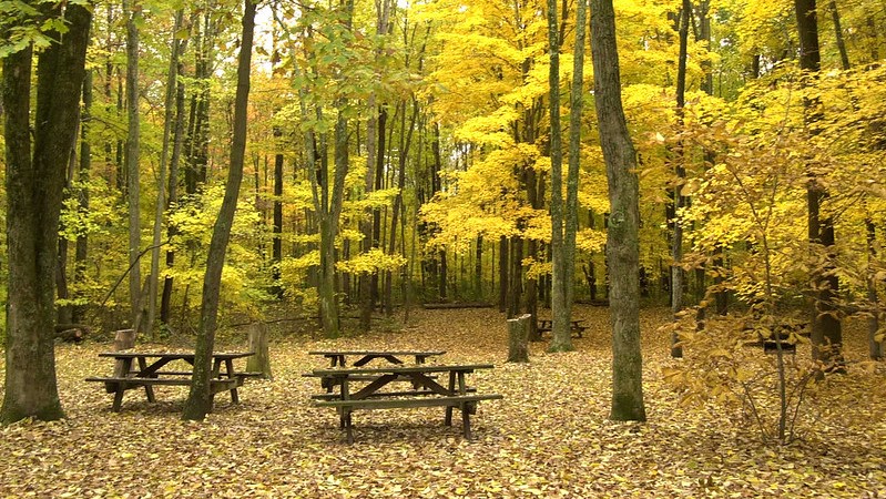 John Bryan State Park Picnic Spot Dayton OH