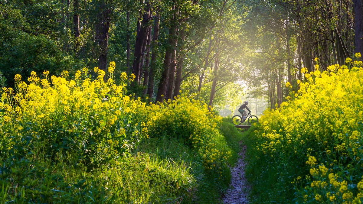 Spring Trail Guide: Best Places to Walk, Bike & Explore Nature Around ...