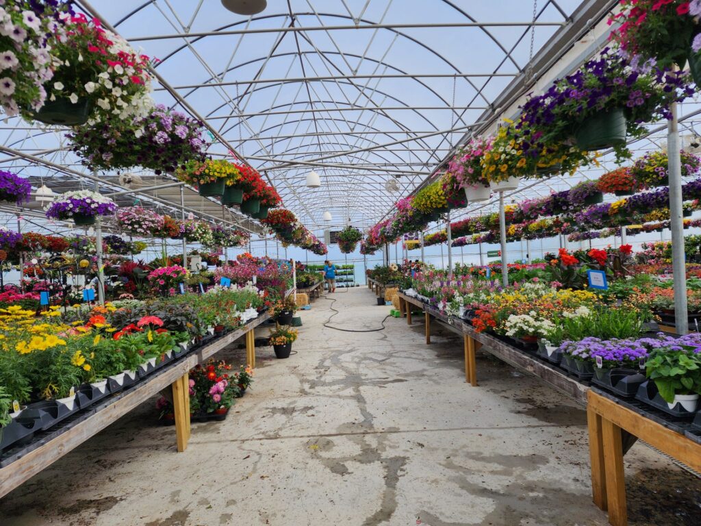 Blooms and berries farm
