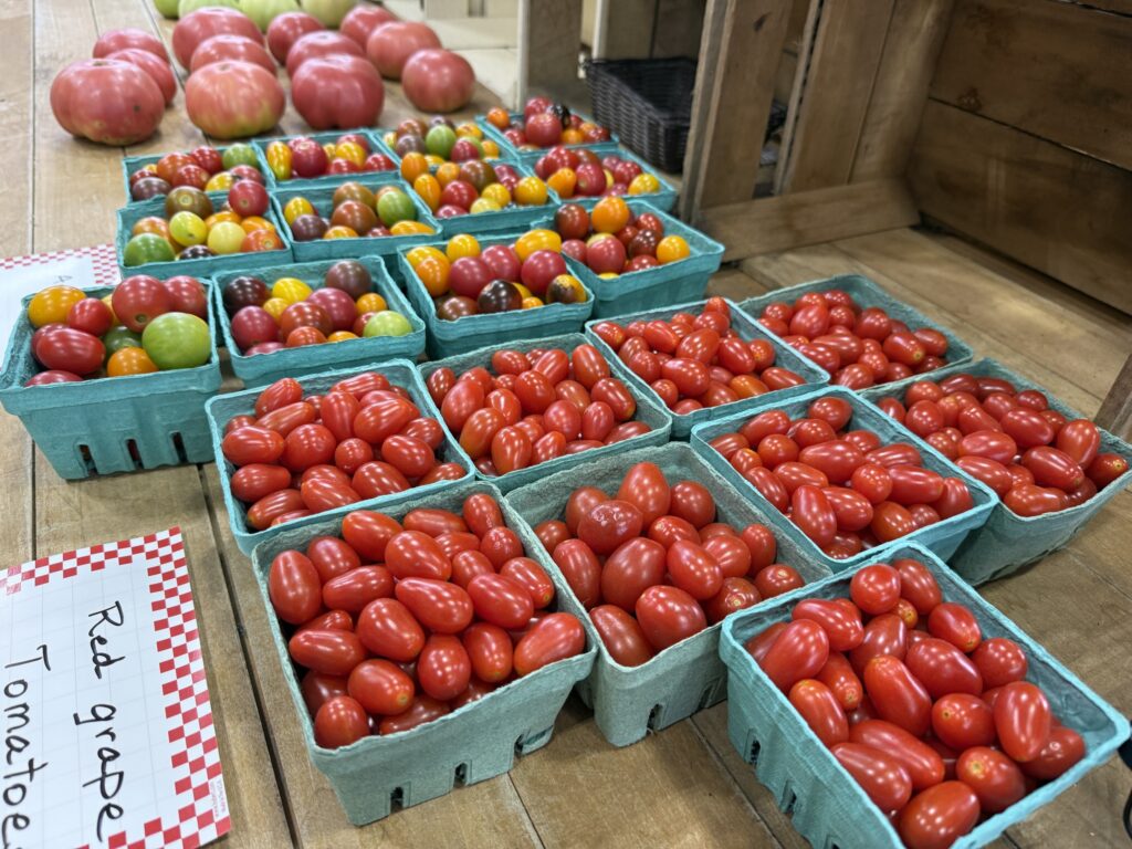 tomatoes