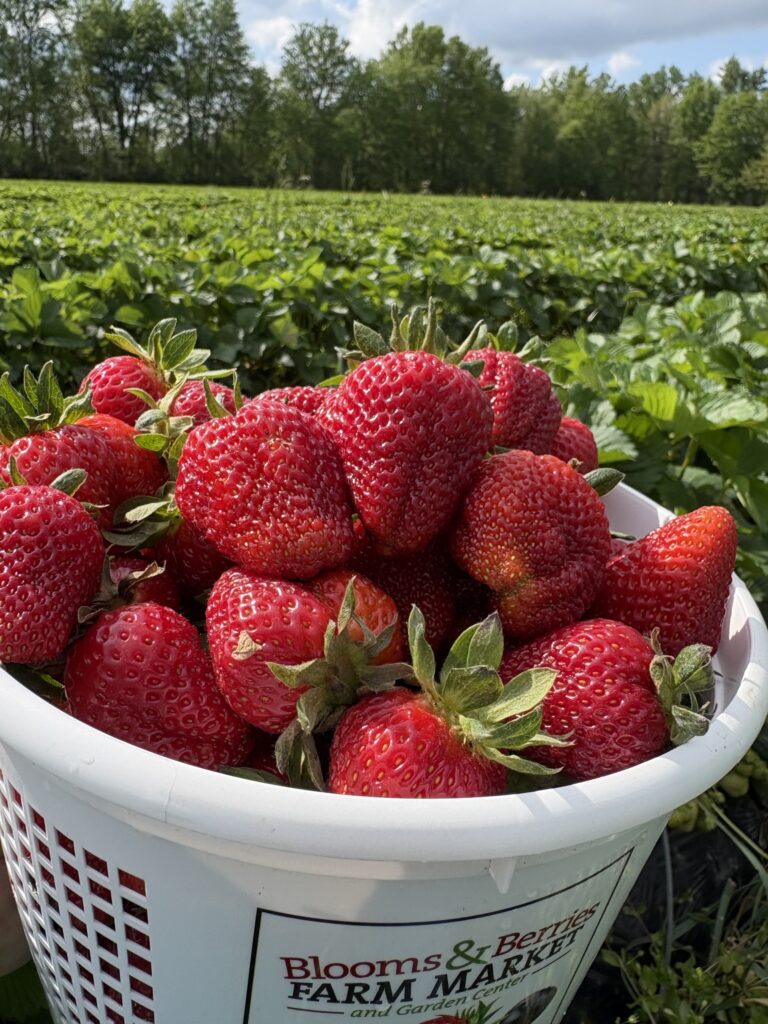 strawberries