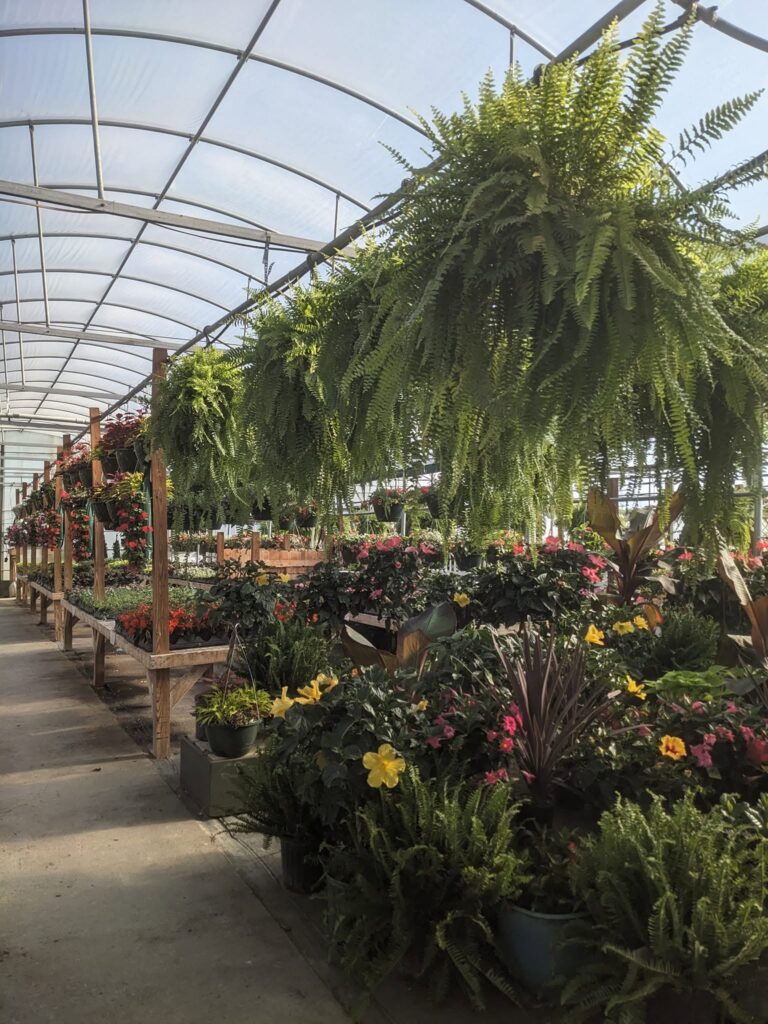TNT Greenhouses