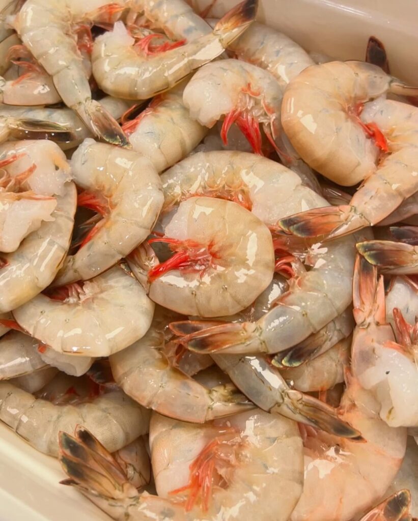 shrimp