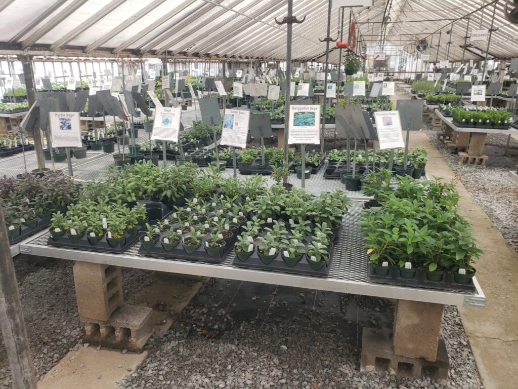 Funke's Greenhouses