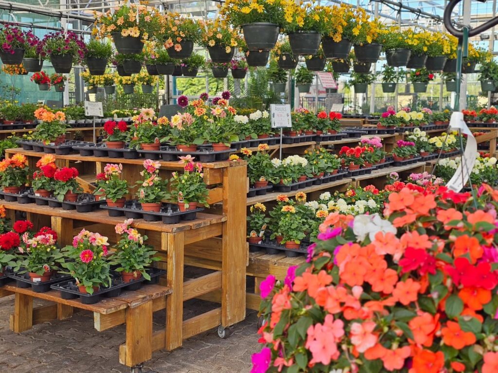 Delhi Flower & Garden Center