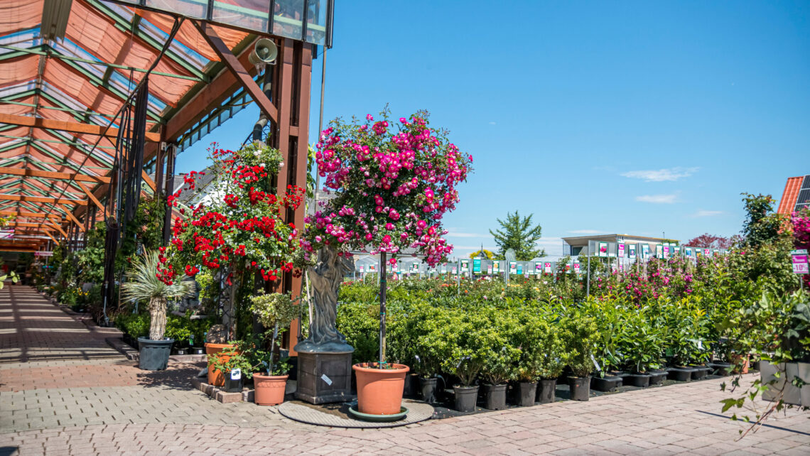 Garden center