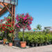 Garden center
