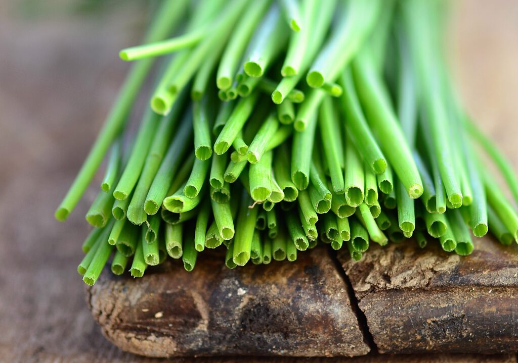 chives