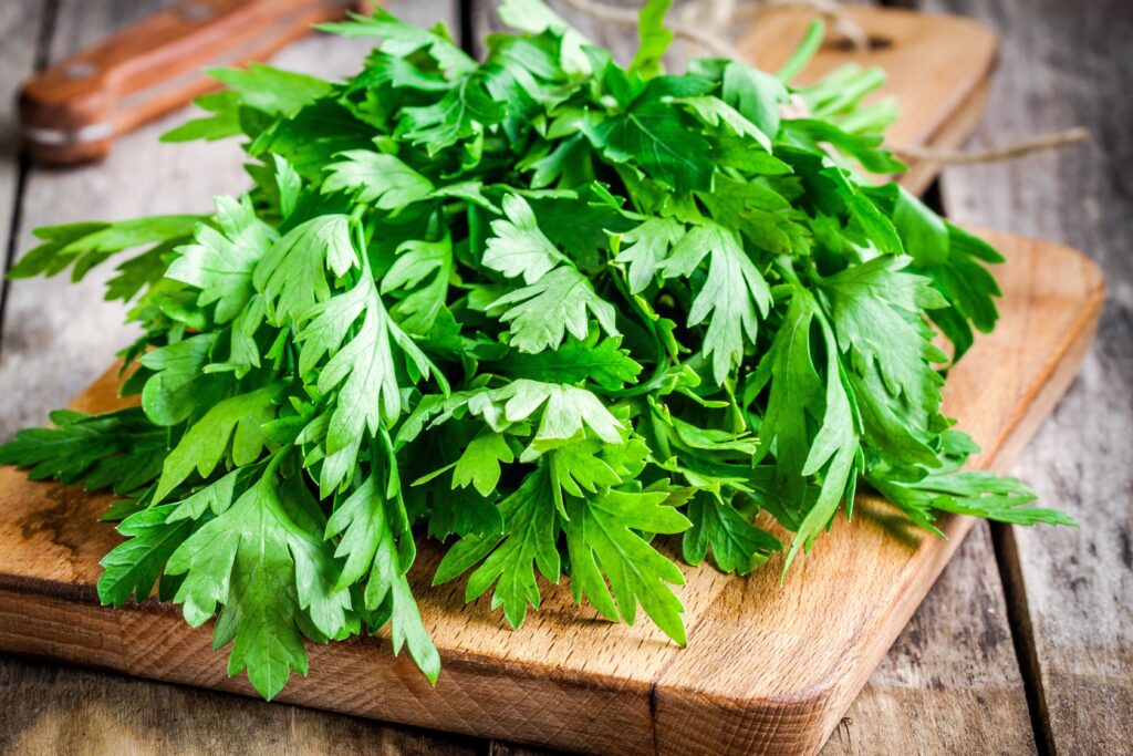 parsley