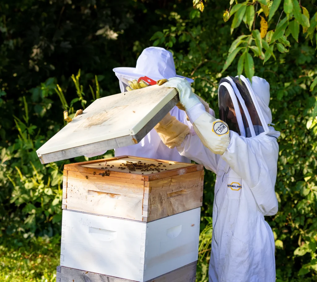 Bee Barn