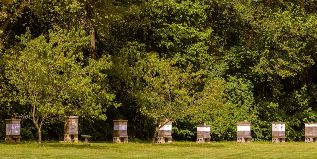Bee barn