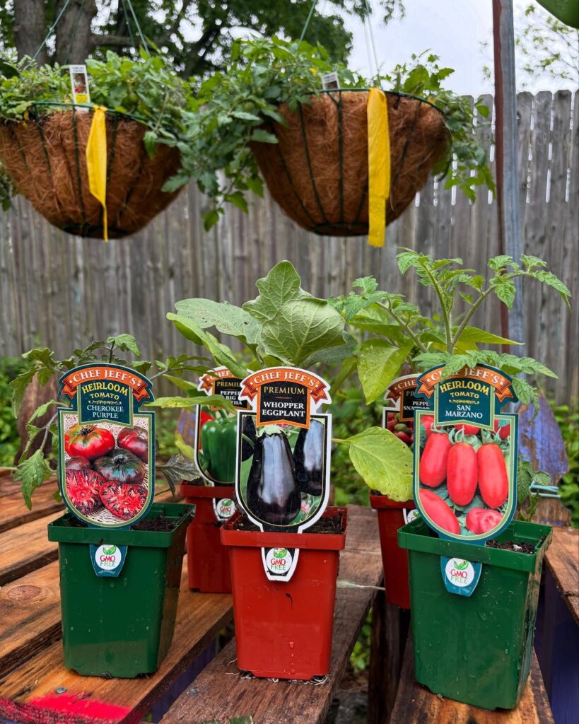 vegetables