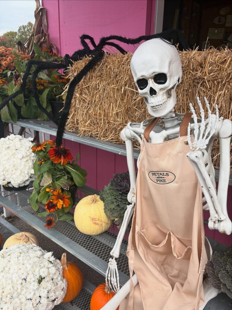Skeleton