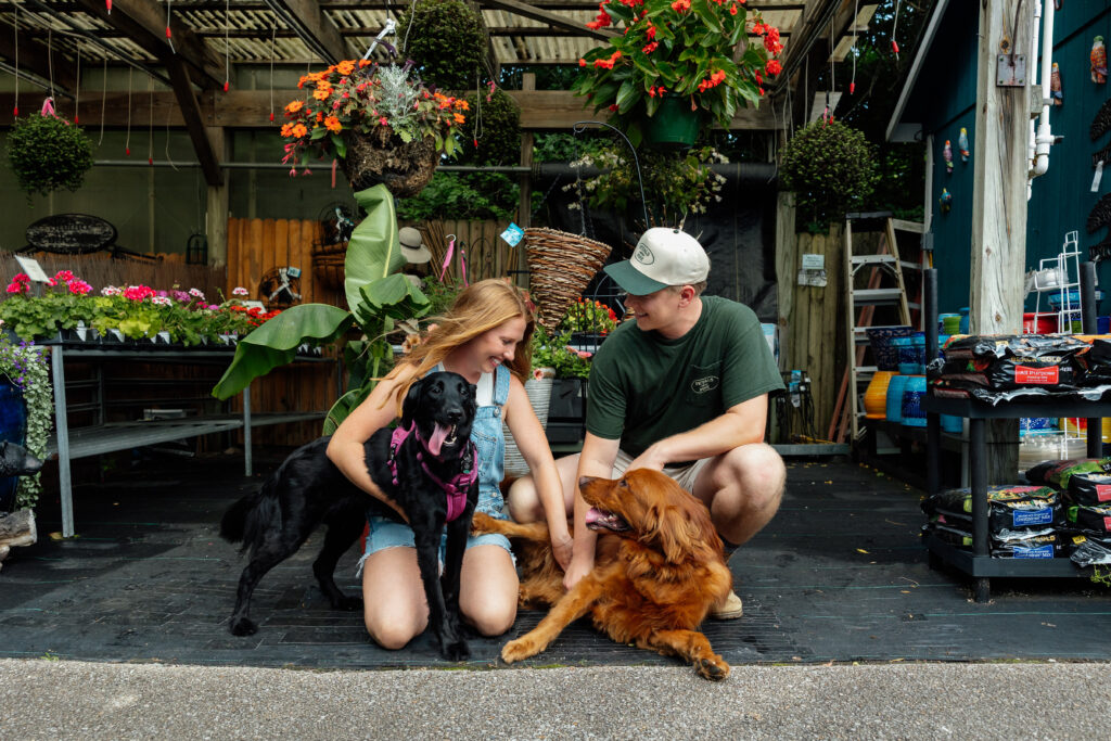 owners and their dogs
